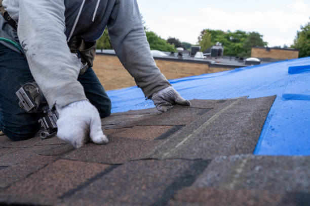 Best Roof Gutter Cleaning  in Charles City, IA