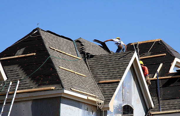 Best Metal Roofing Contractor  in Charles City, IA