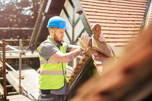 Best Sealant for Roof  in Charles City, IA