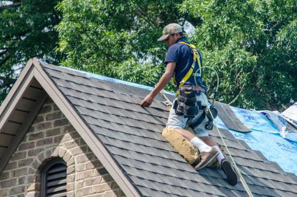Best Roof Leak Repair  in Charles City, IA